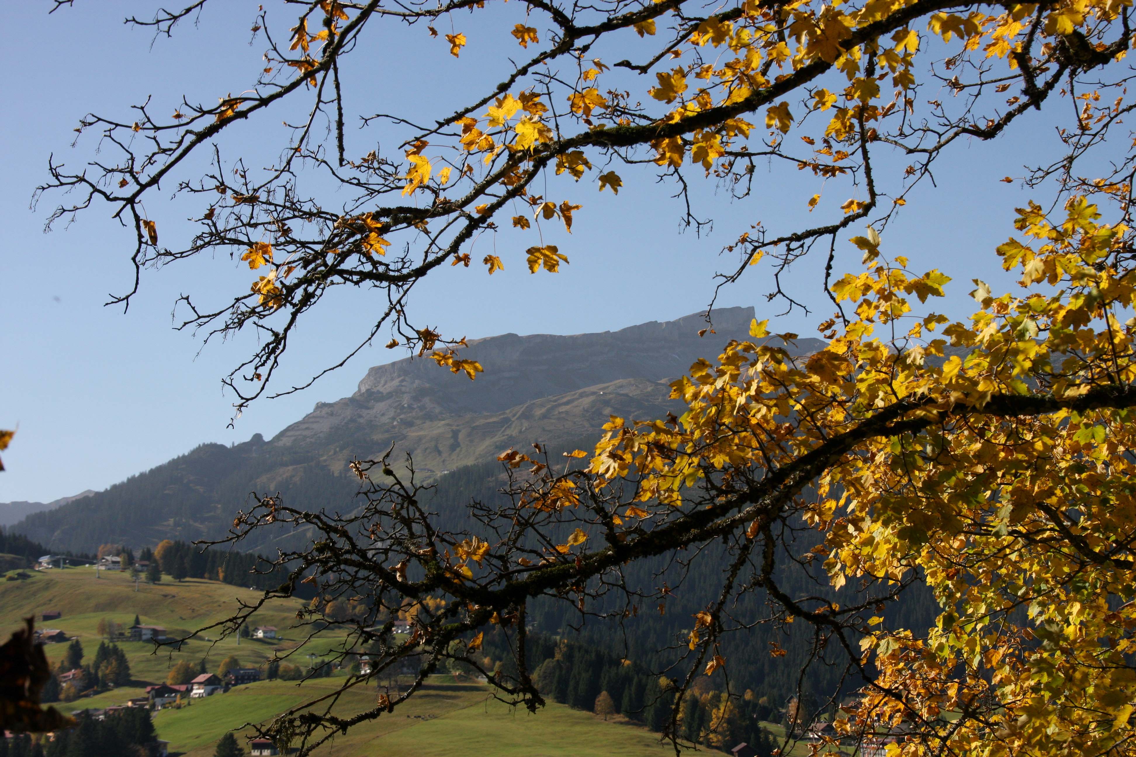 privat/Jockl Metzger